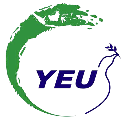 Volunteer Activity Dashboard